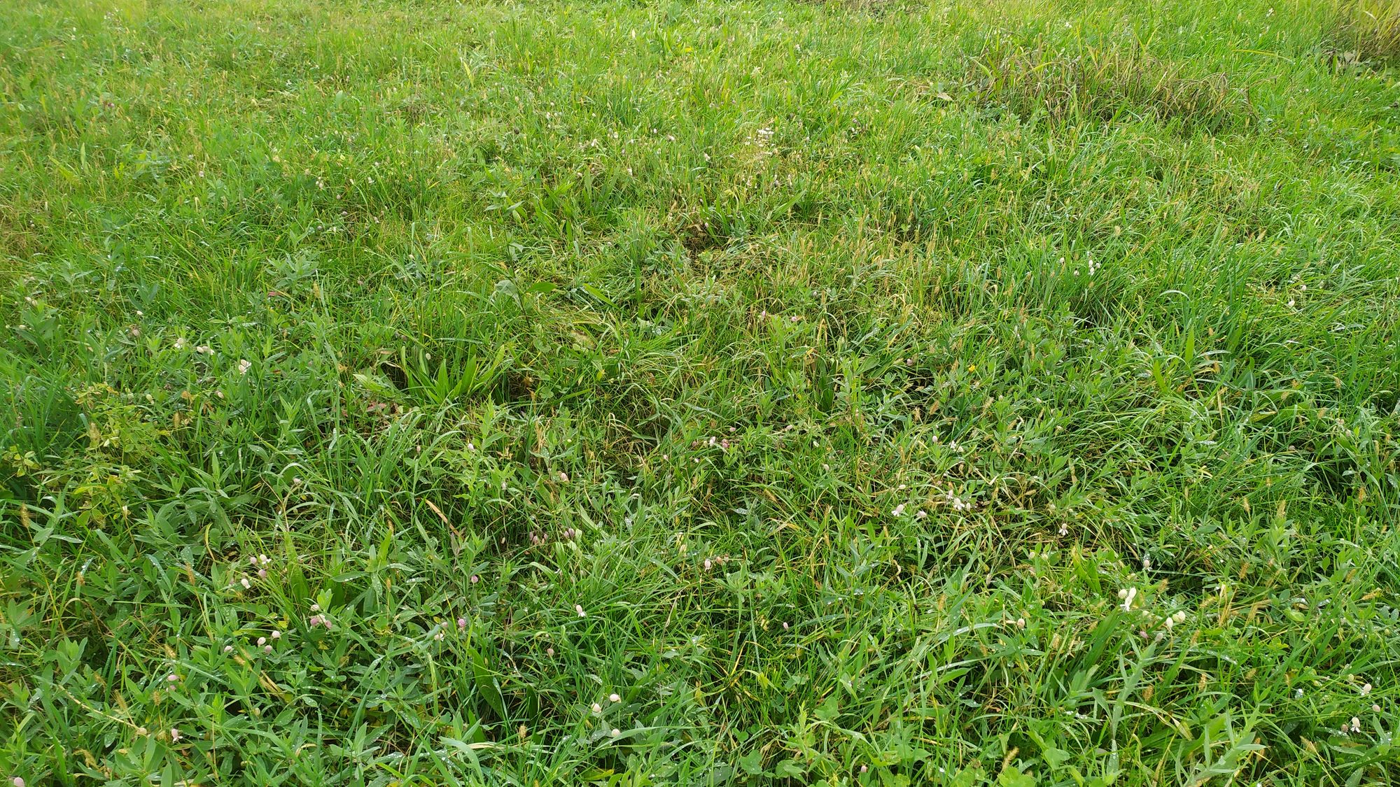 Promettimi di non dimenticarmi