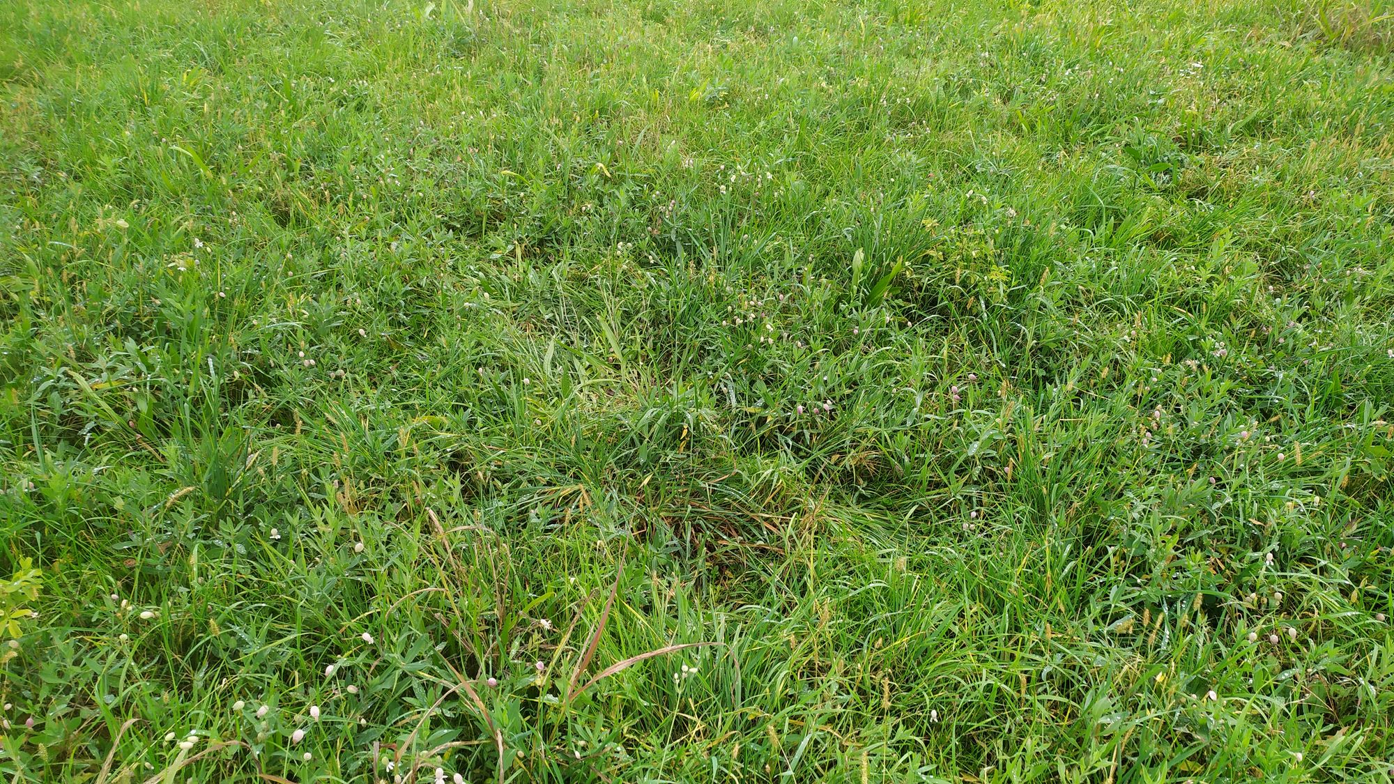 Promettimi di non dimenticarmi