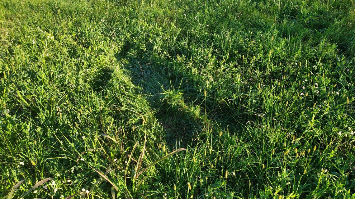 Promettimi di non dimenticarmi