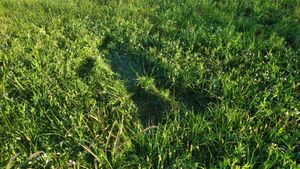 Promettimi di non dimenticarmi